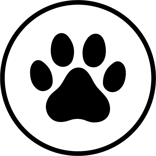 Sapica